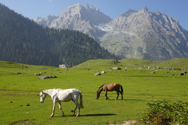 Sonamarg